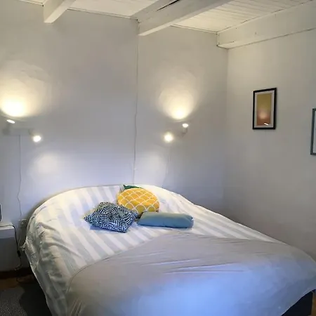 Landaise Avec Piscine, Proche Plages Et Vakantiehuis *