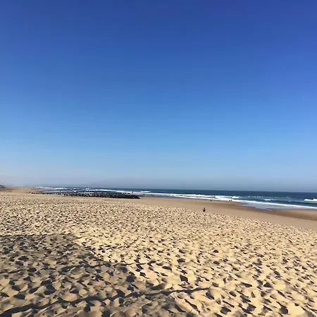 Landaise Avec Piscine, Proche Plages Et Vakantiehuis Mimizan-Plage